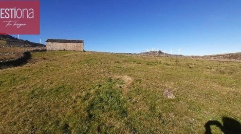 Burgos - Cornejo - 12668m2