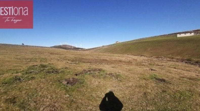 Burgos - Cornejo - 12668m2