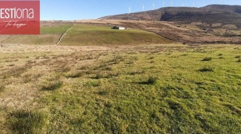 Burgos - Cornejo - 12668m2