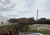Casa amb terreny en venda a la España, Torre-Pacheco, ref.: TR296563 foto