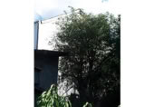 Casa de pueblo en venta en la España, Corullón, ref: TR301031 foto
