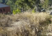 Sòl urbà en venda a la España, Castellgalí, ref.: TR114627 foto