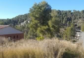 Sòl urbà en venda a la España, Castellgalí, ref.: TR114627 foto