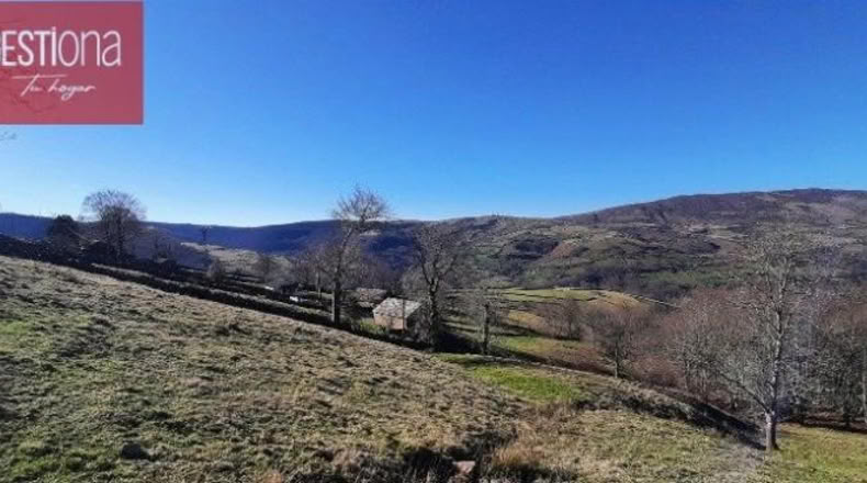 Cantabria - San Pedro del Romeral - 19000m2
