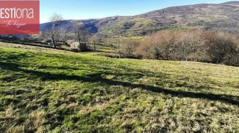 Cantabria - San Pedro del Romeral - 19000m2