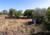 Urban land for sale on España, Ahigal, ref: TR123409 photo