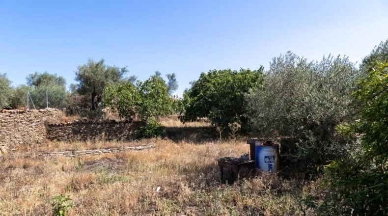 Cáceres - Ahigal - 883m2
