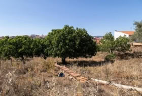 Ahigal 883&nbsp;m² 