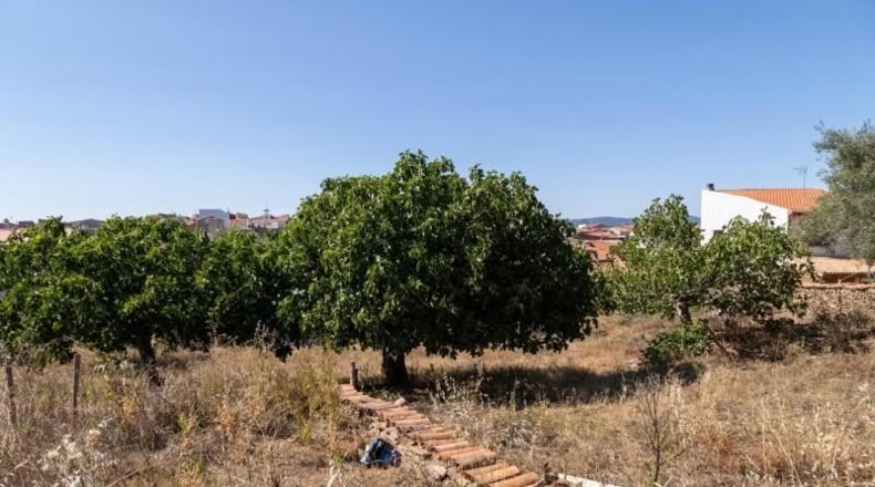Cáceres - Ahigal - 883m2