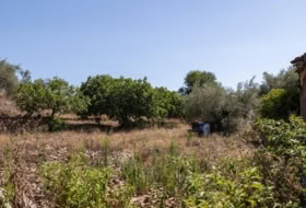 Ahigal 883&nbsp;m² 
