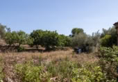 Urban land for sale on España, Ahigal, ref: TR123409 photo