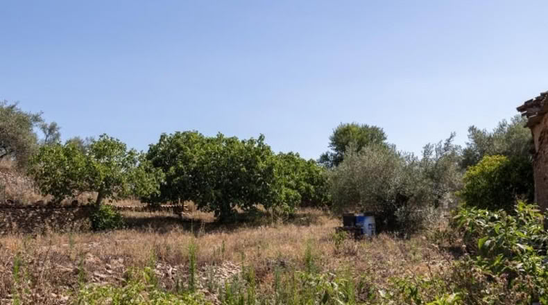 Cáceres - Ahigal - 883m2