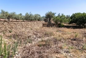 Ahigal 883&nbsp;m² 