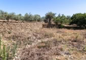 Urban land for sale on España, Ahigal, ref: TR123409 photo