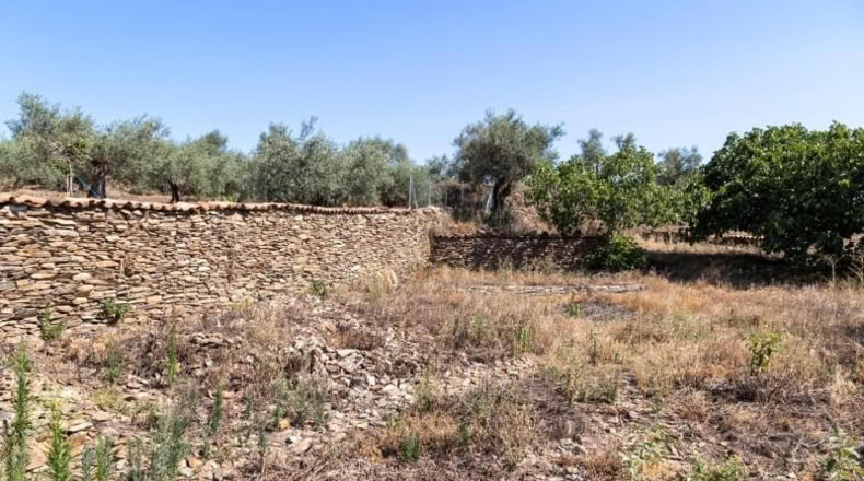 Cáceres - Ahigal - 883m2