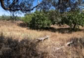 Urban land for sale on España, Ahigal, ref: TR123409 photo
