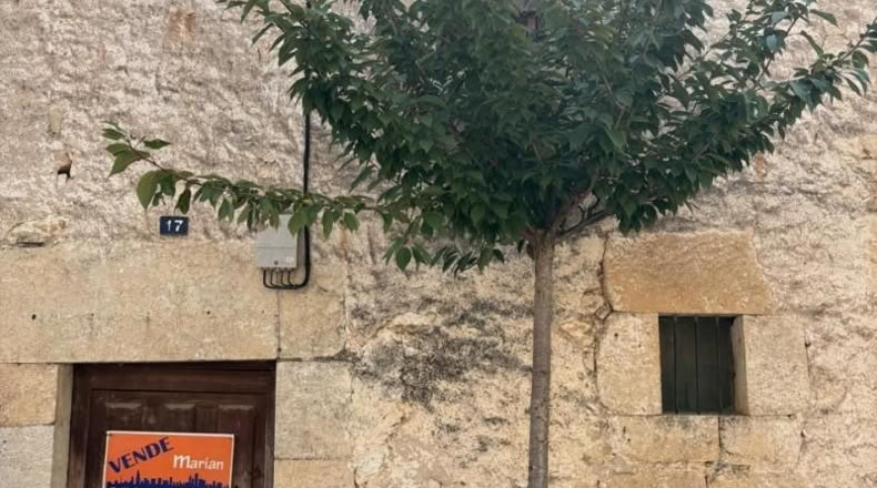 Burgos - Milagros - 109m2