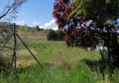 House with land for sale on España, Fuentelencina, ref: TR310032 photo