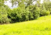 Terreny no urbanitzable en venda a la España, Pola de Siero, ref.: TR174884 foto