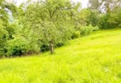 Terreny no urbanitzable en venda a la España, Pola de Siero, ref.: TR174884 foto