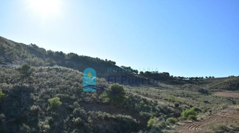 Múrcia - Mazarrón - 25000m2