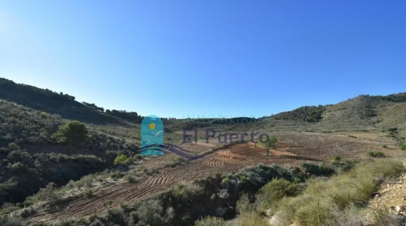Múrcia - Mazarrón - 25000m2