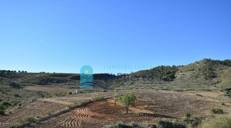 Múrcia - Mazarrón - 25000m2