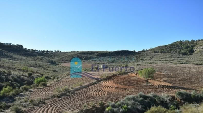 Múrcia - Mazarrón - 25000m2
