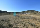 Terreno no urbanizable en venta en la España, Mazarrón, ref: TR125986 foto