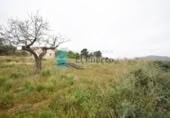 Terreny no urbanitzable en venda a la España, Cartagena, ref.: TR121701 foto