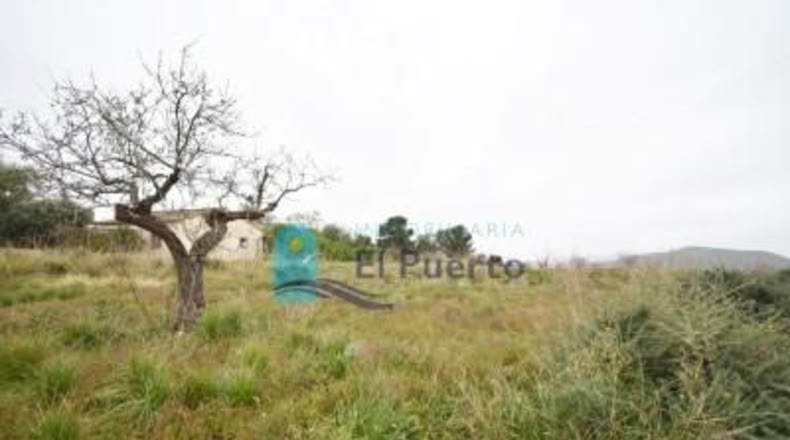 Múrcia - Cartagena - 2792m2