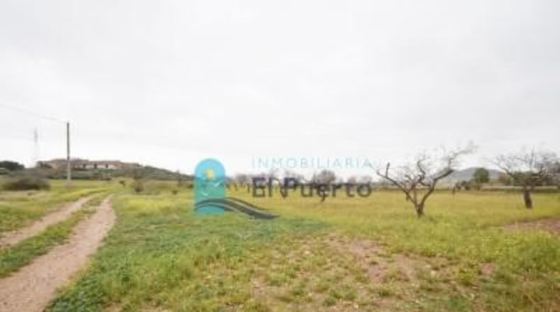 Múrcia - Cartagena - 2792m2