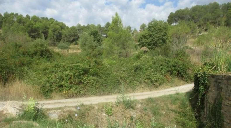 Barcelona - Molí de l'Alzina - 1585m2