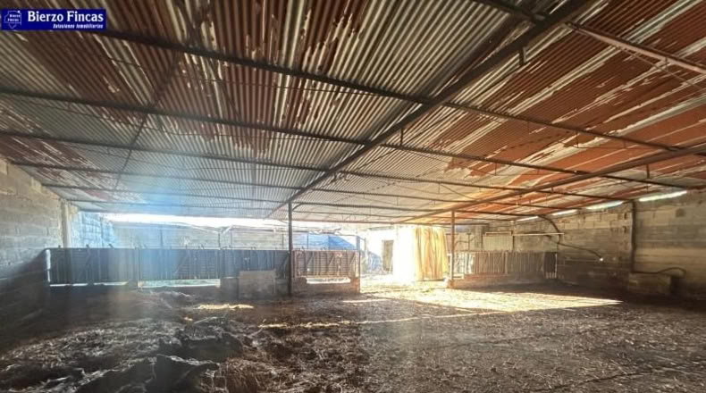 León - Camponaraya - 10000m2