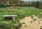 Terreny no urbanitzable en venda a la España, Múrcia, ref.: TR119643 foto