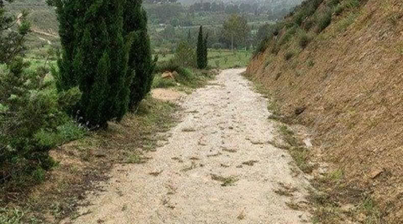 Múrcia - Murcia - 13398m2