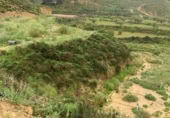 Terreny no urbanitzable en venda a la España, Múrcia, ref.: TR119643 foto