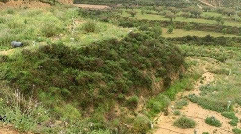 Múrcia - Murcia - 13398m2