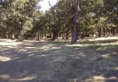 Terreny no urbanitzable en venda a la España, El Cerro, ref.: TR126207 foto
