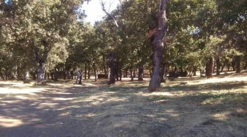 Salamanca - El Cerro - 1397m2