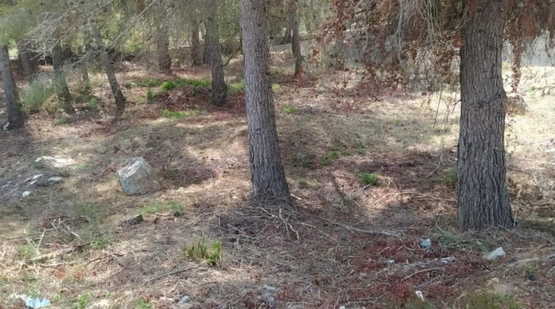 Tarragona - el Vendrell - 651m2