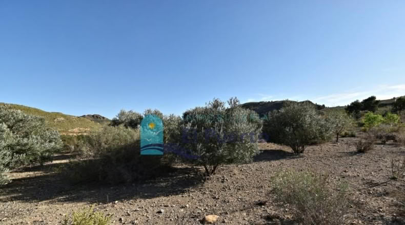 Múrcia - Mazarrón - 4708m2