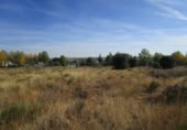 Non-developable land for sale on España, Almenara de Tormes, ref: TR126206 photo