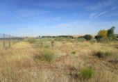 Non-developable land for sale on España, Almenara de Tormes, ref: TR126206 photo