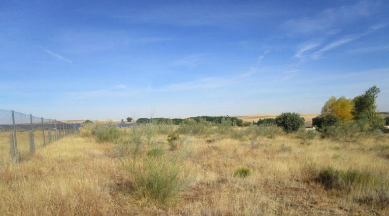 Salamanca - Almenara de Tormes - 6827m2