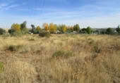 Non-developable land for sale on España, Almenara de Tormes, ref: TR126206 photo