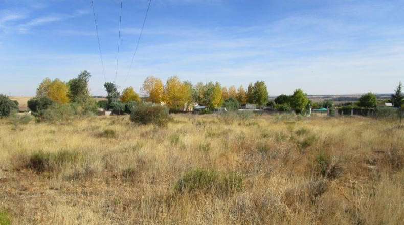 Salamanca - Almenara de Tormes - 6827m2
