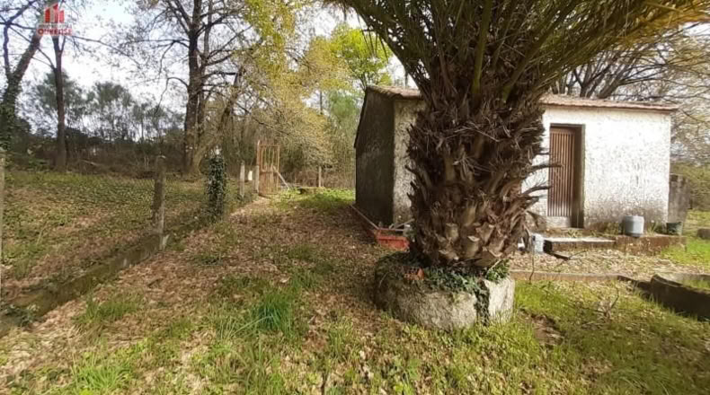 Orense - Cambeo - 6518m2