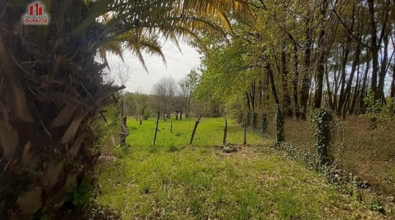 Orense - Cambeo - 6518m2