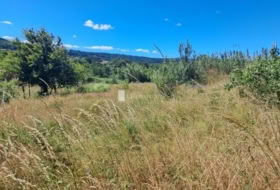 Ourense 1566&nbsp;m²